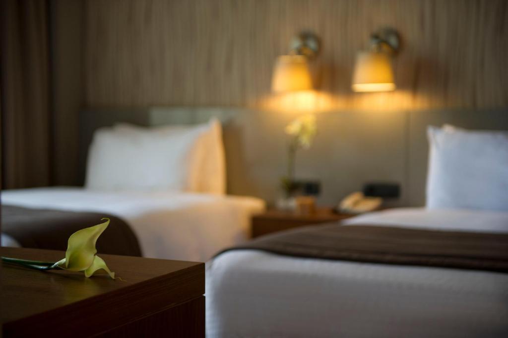 Parktower Suites Beirut Zimmer foto